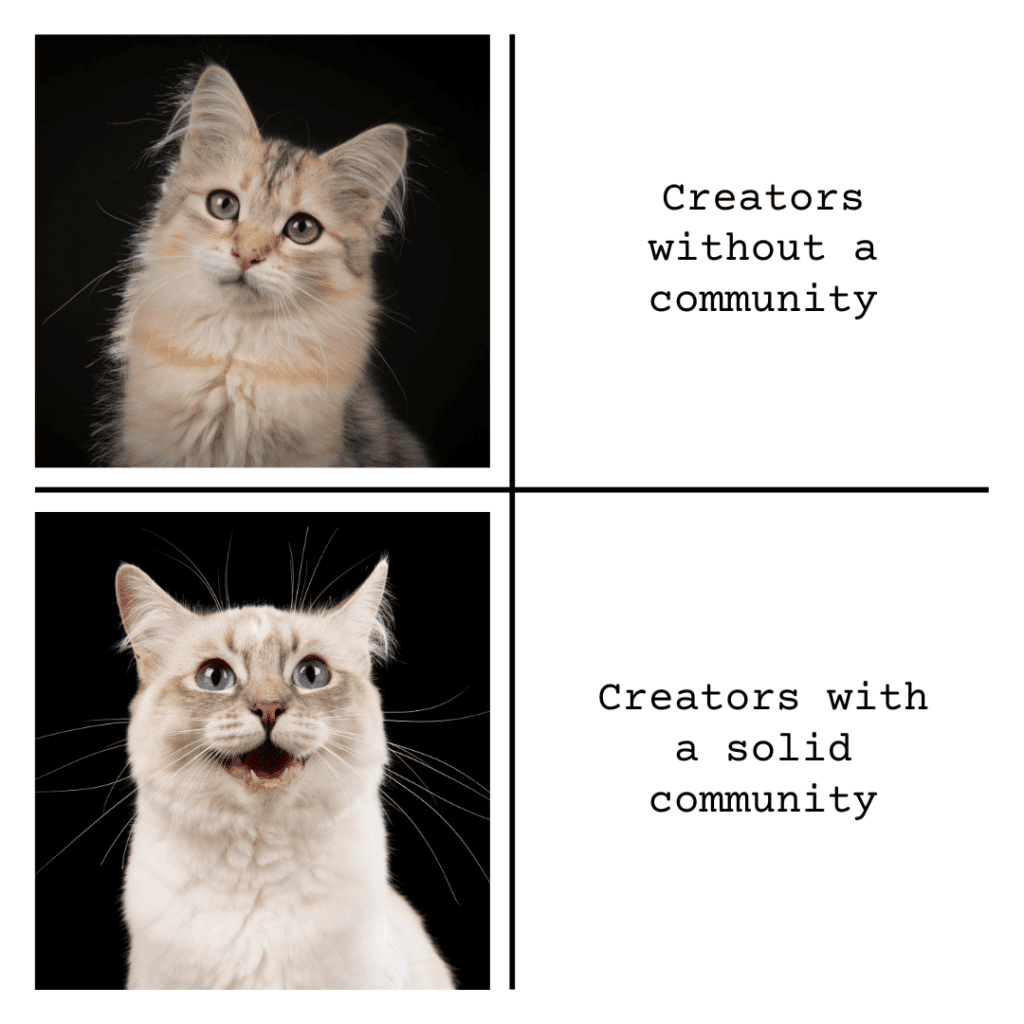 What is community
